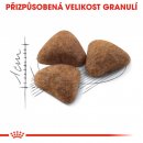 Krmivo pro kočky Royal Canin Indoor 10 kg