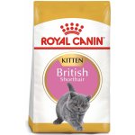 Royal Canin British Shorthair Kitten drůbeží 2 kg – Hledejceny.cz