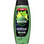 Radox sprchový gel pro muže Osvěžení 450 ml – Hledejceny.cz