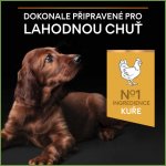 Purina Pro Plan Small & Mini Puppy Healthy Start kuře 2 x 0,7 kg – Hledejceny.cz