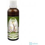Naděje Penízovka sametonohá bylinná tinktura 50 ml – Hledejceny.cz