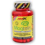 Amix Magtein Magnesium L-Threonate 90 kapslí – Hledejceny.cz