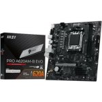 MSI PRO A620AM-B EVO – Zboží Živě