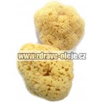 Caribbean Sun mořská houba přírodní pacifická žlutá 12-13 cm – Sleviste.cz