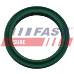 Těsnicí kroužek, hadice plnicího vzduchu FAST FT48933 – Zboží Mobilmania