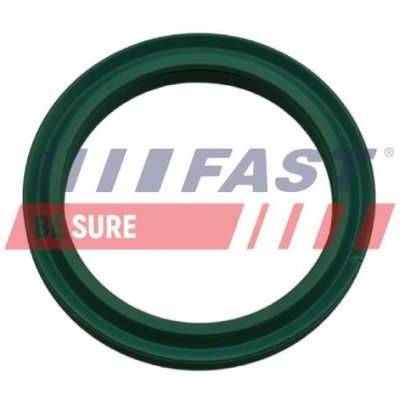 Těsnicí kroužek, hadice plnicího vzduchu FAST FT48933 – Zboží Mobilmania