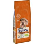 Purina Dog Chow Mature Adult Chicken 2 x 14 kg – Zboží Mobilmania