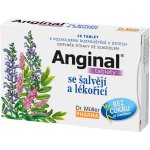 Dr. Müller angíny se šalvějí a lékořicí při nachlazení 16 tablet – Hledejceny.cz