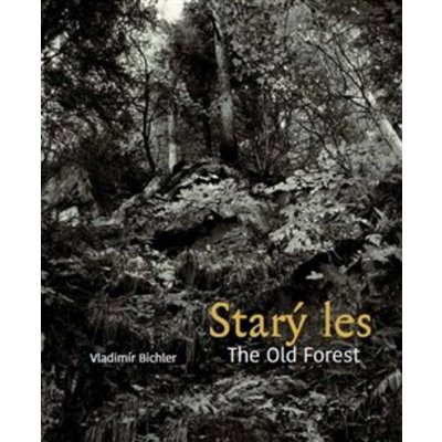 Starý les / The Old Forest