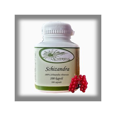 Ex Herbis Schizandra 100 tablet