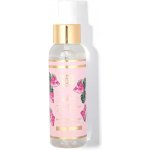 Sosu by Suzanne Jackson samoopalovací mlha na obličej Meloun Dripping Gold Wonder Water Light/Medium 100 ml – Zboží Dáma