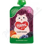 Hami Lesní ovoce kapsička 100g – Zboží Mobilmania