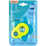 Canpol babies vodní s chrastítkem Hvězdička tyrkysová – Hledejceny.cz