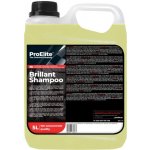 ProElite BRILLANT SHAMPOO 5 l – Hledejceny.cz