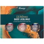 Kneipp dárková sada Oleje do koupele 3x20 ml – Zboží Dáma Kneipp dárková sada Oleje do koupele 3x20 ml – Zboží Dáma