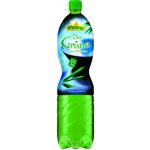 Pfanner Green Tea citron a kaktus 1,5 l – Hledejceny.cz