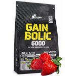 Olimp GAIN BOLIC 6000 1000 g – Hledejceny.cz