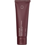 Davroe Replenish Jojoba Crème Treatement 50 ml – Hledejceny.cz