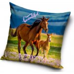 Carbotex koně 40 x 40 cm – Sleviste.cz