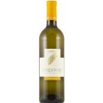 Friuli Cozzarolo Pinot Grigio DOC 2022 12,5% 0,75 l (holá láhev) – Hledejceny.cz