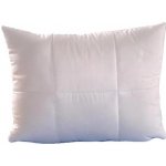 Brotex Polštář Aloe Vera 50x70 400g zip – Zboží Dáma