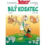 Asterix 40 - Bílý kosatec - Fabcaro – Hledejceny.cz