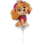GRABO fóliový balónek MINI Skye 14" 35cm nafukovací – Zboží Dáma