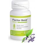 OKG Factor Base Detox 60 tablet – Hledejceny.cz