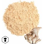LifeChi Hlíva ústřičná Pleurotus ostreatus EXTRAKT v prášku 50 g – Hledejceny.cz