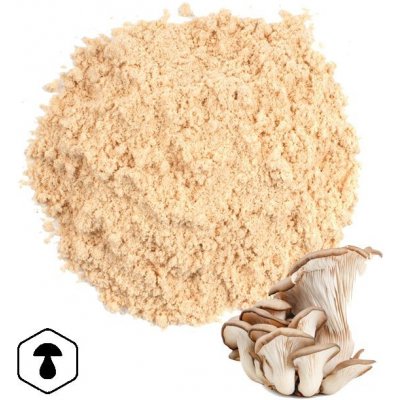 LifeChi Hlíva ústřičná Pleurotus ostreatus EXTRAKT v prášku 50 g – Hledejceny.cz
