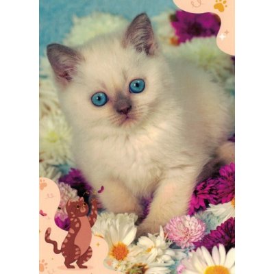 Pohlednice Kotě 104 – Zboží Mobilmania