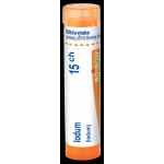 IODUM POR 15CH GRA 1X4G – Hledejceny.cz