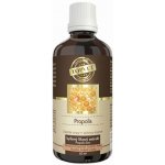 Green idea Propolis tinktura kapky 50 ml – Hledejceny.cz