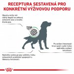 Royal Canin Veterinary Diet Dog Satiety Weight Management 6 kg – Zboží Mobilmania