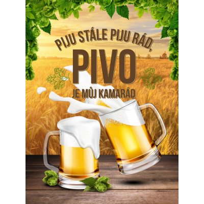 Postershop Plechová cedule: Pivo je můj kamarád - 30x40 cm – Sleviste.cz