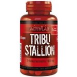 ActivLab Tribu Stallion 60 tabliet – Hledejceny.cz