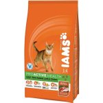 Iams for Vitality Cat Adult Lamb 10 kg – Zboží Mobilmania