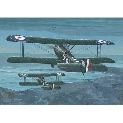 Roden Sopwith 1 Strutter Comic Fighter 407 1:48 1:2