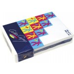 COLOR COPY 300g A4 125 listů – Zboží Živě