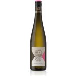 Weingut Jakob Jung Eerbacher Ryzlink rýnský suché bílé 2023 12% 0,75 l (holá láhev) – Hledejceny.cz