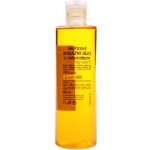 Top Gold olej masažní skořicový s rakytníkem 250 ml – Zboží Dáma