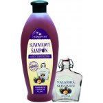 Herbavera šampon slivovicový 550 ml – Hledejceny.cz