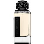Afnan Lynked Freedom parfémovaná voda pánská 100 ml – Sleviste.cz