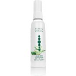 Essens Aloe Vera Soft Spray 100 ml – Hledejceny.cz