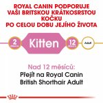 Royal Canin British Shorthair Kitten 400 g – Hledejceny.cz