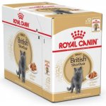 Royal Canin British Shorthair Gravy 12 X 85 g – Sleviste.cz