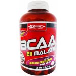 XXtreme BCAA Malate 211 240 kapslí – Hledejceny.cz