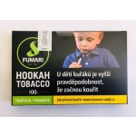 Fumari Tropical Paradise 100 g – HobbyKompas.cz
