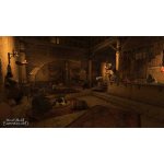 Mount and Blade 2 Bannerlord – Zboží Dáma