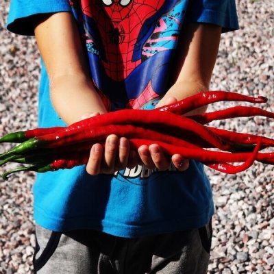 Elephant s Trunk – Zboží Dáma